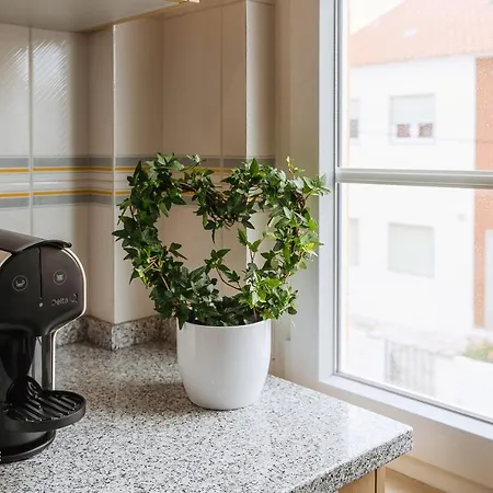 Maria Sabe - Apartamento Santa Cruz (Oeste)